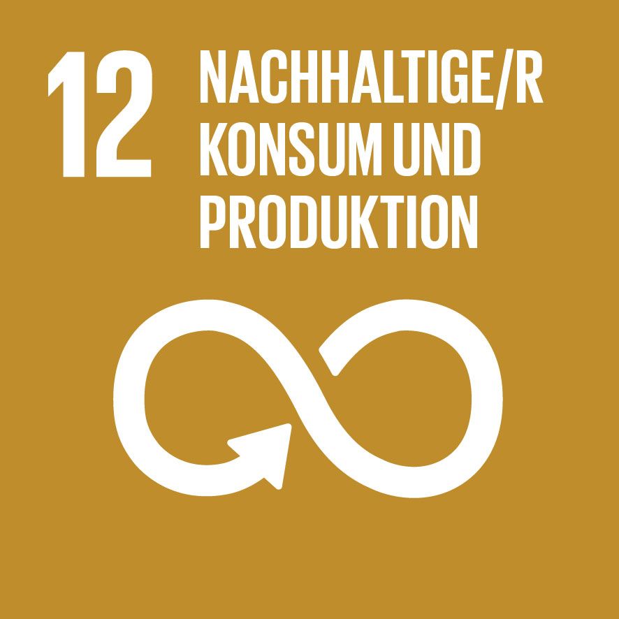 SDG 12 - Nachhaltig konsumieren und produzieren